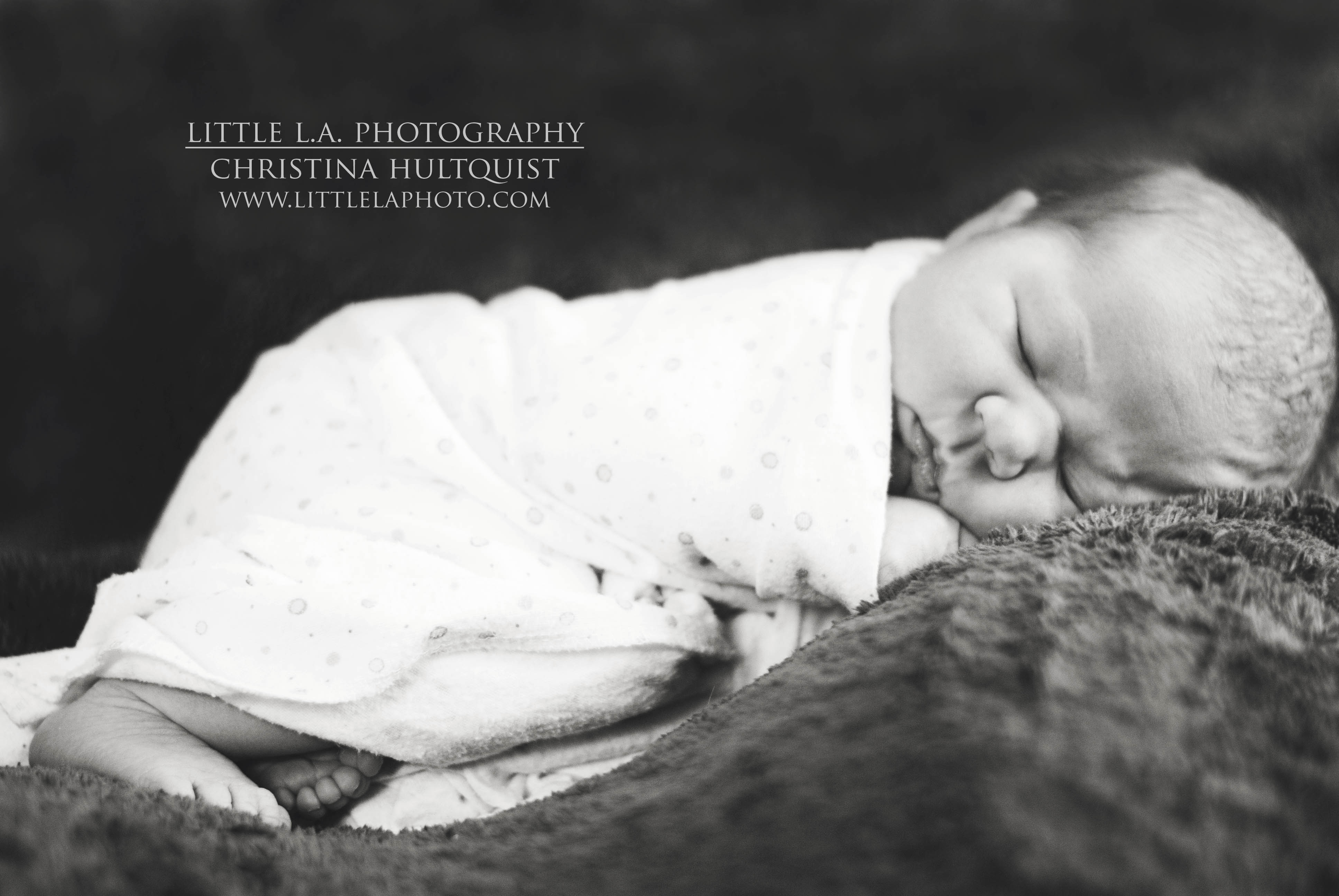 newborn photography la