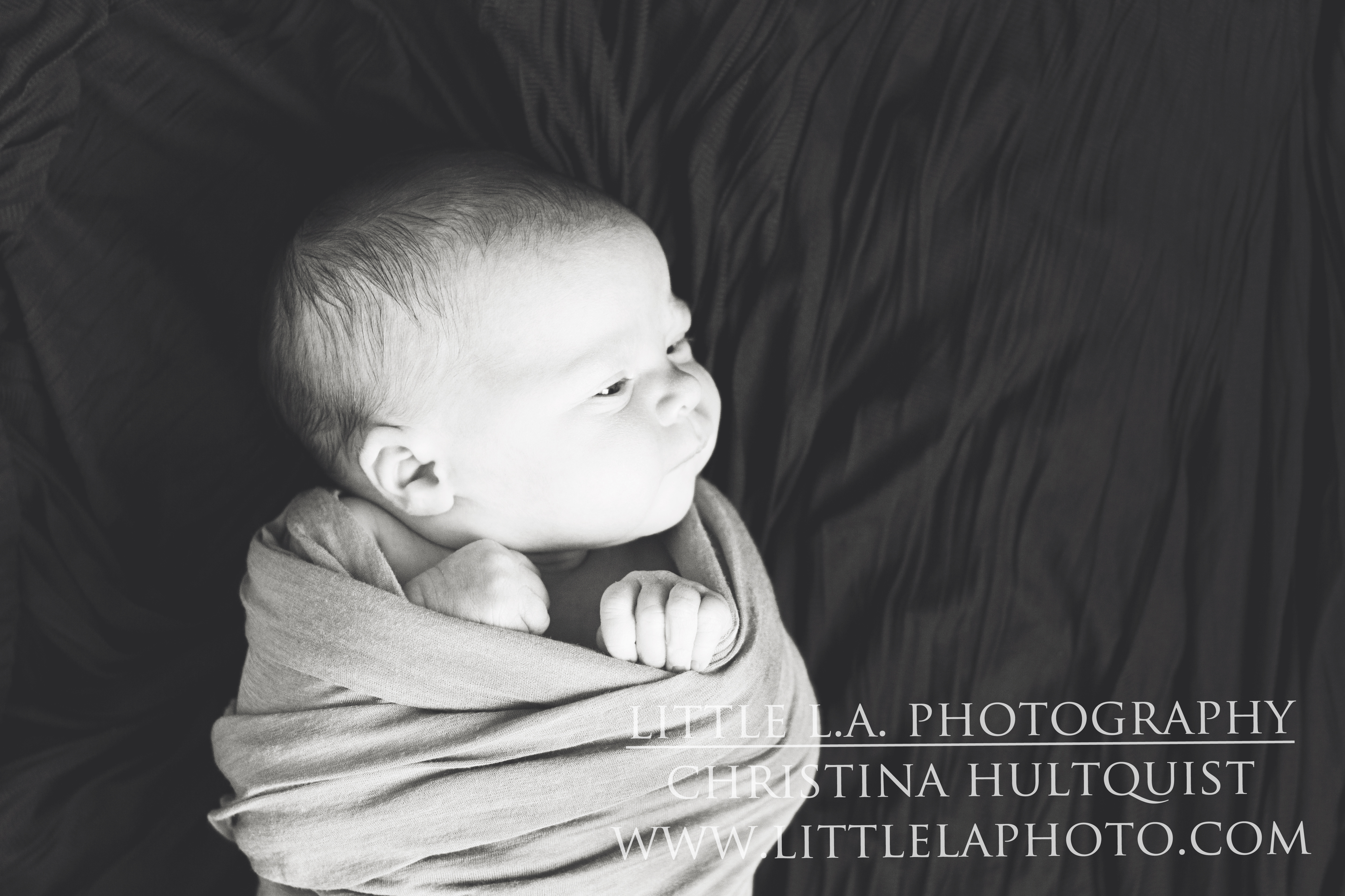 black and white newborn photography los angeles