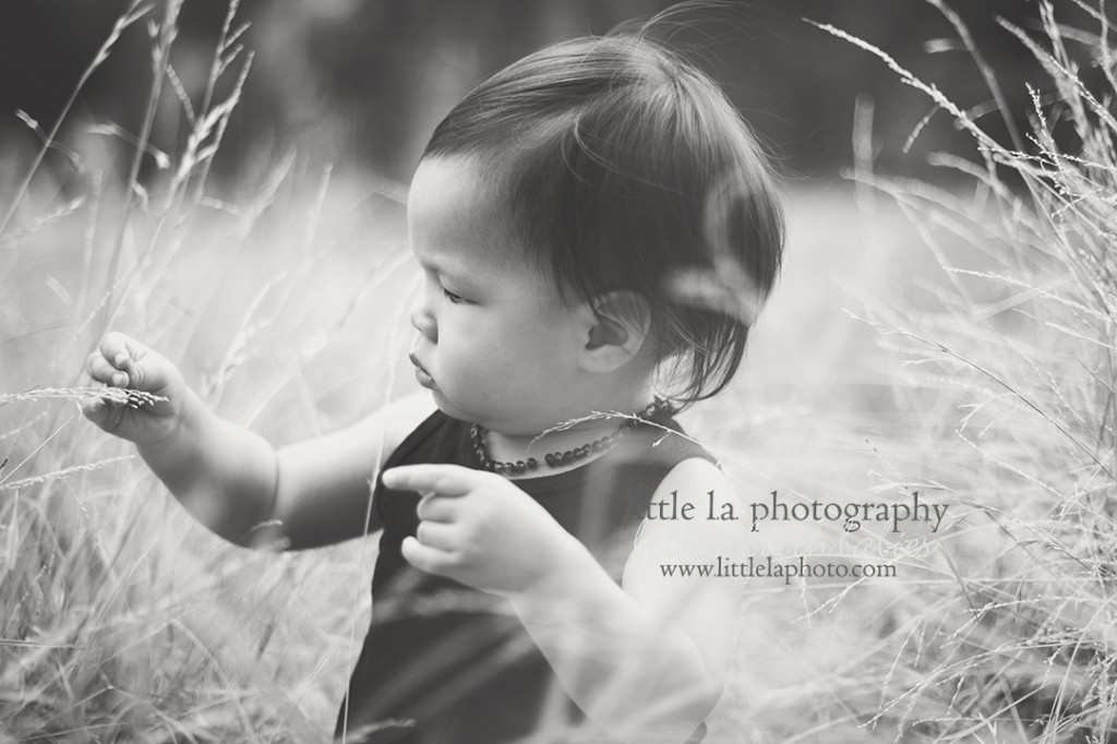 socal baby photography