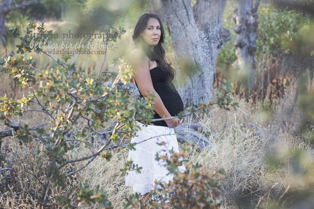 los angeles roseville maternity photographer