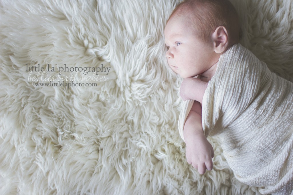 newborn photographer la ca