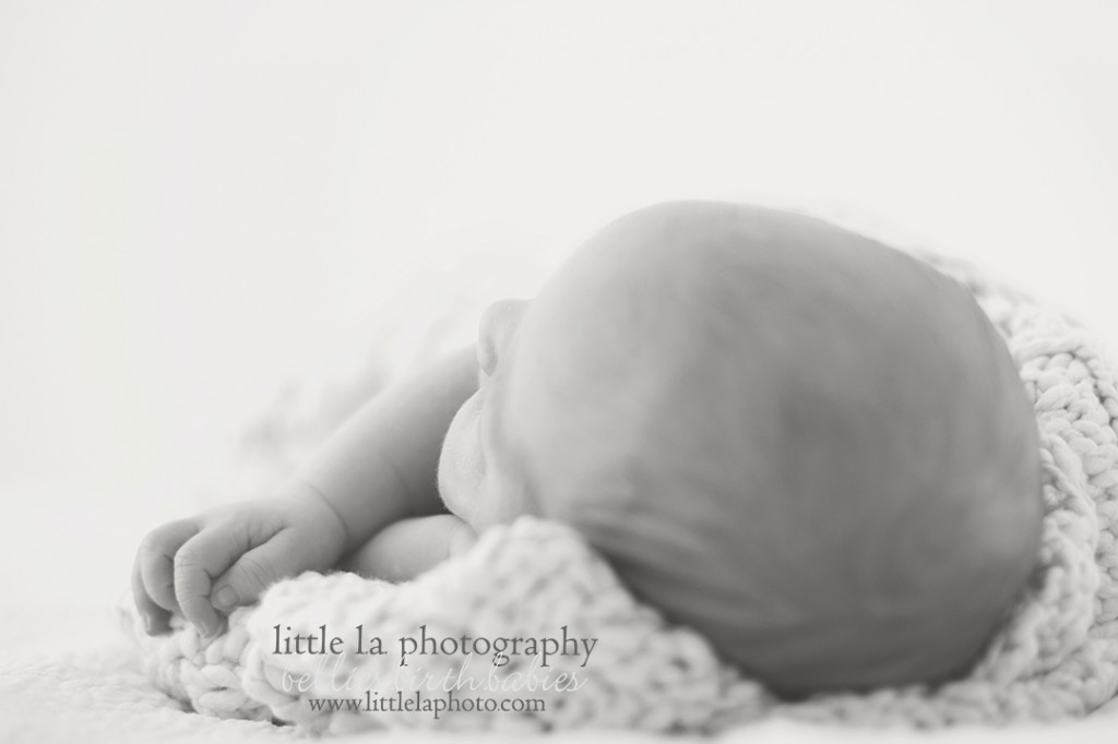 little la photography los angeles newborn photography