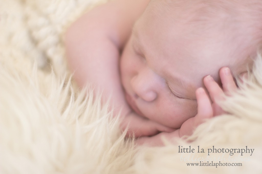 newborn photographer in los angeles la