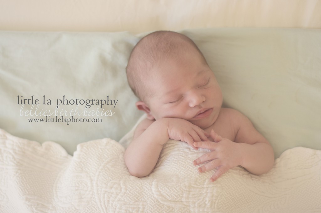 sleeping newborn photography la