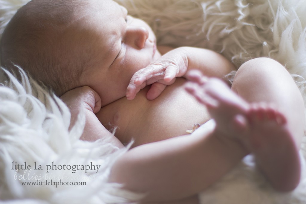 natural light newborn photography