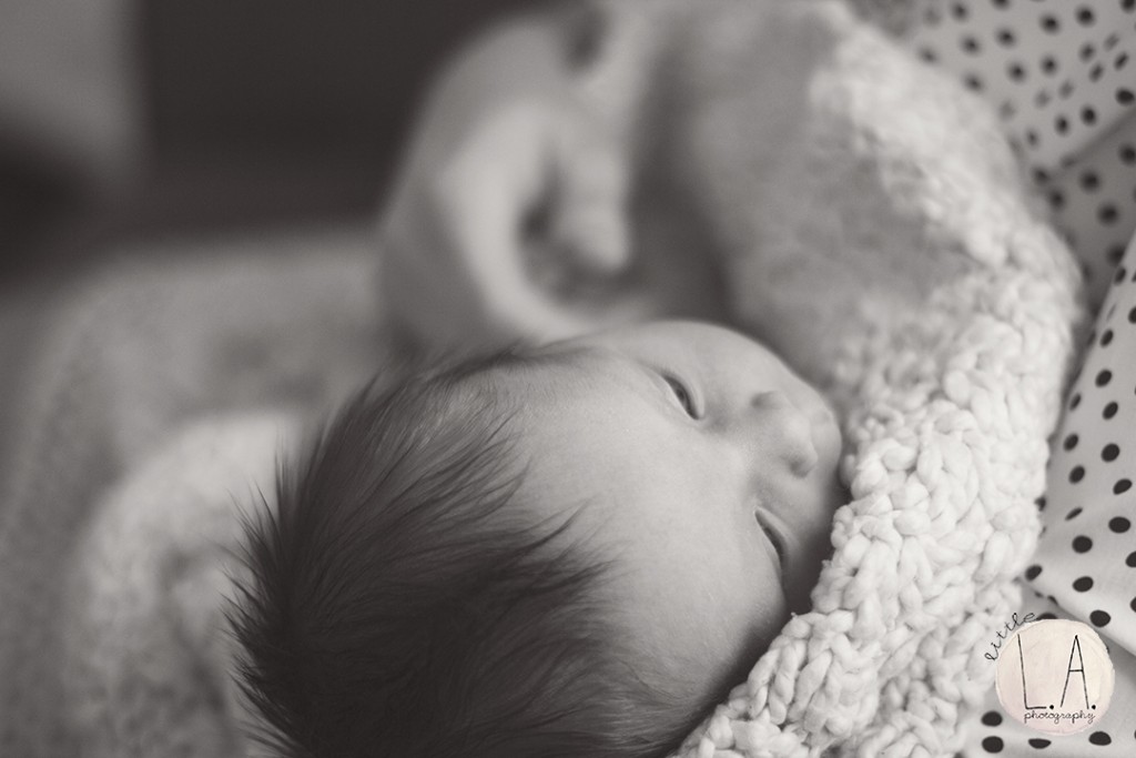 los angeles lifestyle newborn photographer